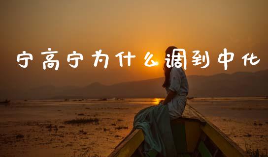 宁高宁为什么调到中化_https://m.qdlswl.com_恒指在线直播间_第1张