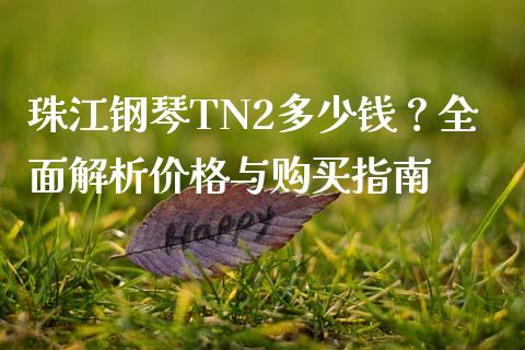 珠江钢琴TN2多少钱？全面解析价格与购买指南_https://m.qdlswl.com_纳指直播_第1张