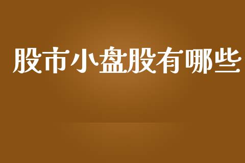 股市小盘股有哪些_https://m.qdlswl.com_恒生指数直播喊单_第1张