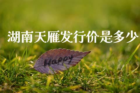 湖南天雁发行价是多少_https://m.qdlswl.com_恒指德指直播室_第1张
