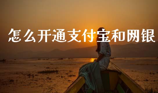 怎么开通支付宝和网银_https://m.qdlswl.com_恒生指数直播喊单_第1张
