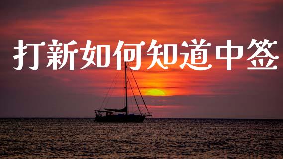 打新如何知道中签_https://m.qdlswl.com_纳指直播_第1张