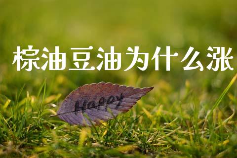 棕油豆油为什么涨_https://m.qdlswl.com_恒指德指直播室_第1张