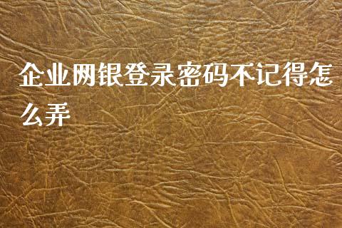 企业网银登录密码不记得怎么弄_https://m.qdlswl.com_纳指直播_第1张