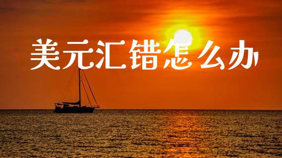 美元汇错怎么办_https://m.qdlswl.com_恒生指数直播喊单_第1张