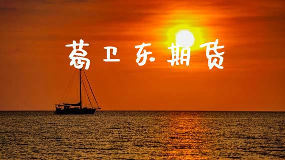 葛卫东期货_https://m.qdlswl.com_恒指在线直播间_第1张