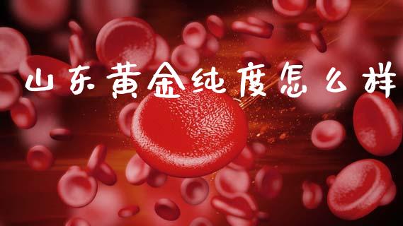 山东黄金纯度怎么样_https://m.qdlswl.com_恒生指数直播喊单_第1张