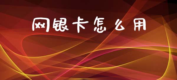 网银卡怎么用_https://m.qdlswl.com_纳指直播_第1张