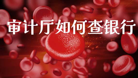 审计厅如何查银行_https://m.qdlswl.com_恒指德指直播室_第1张