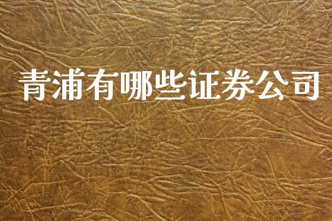 青浦有哪些证券公司_https://m.qdlswl.com_恒指德指直播室_第1张