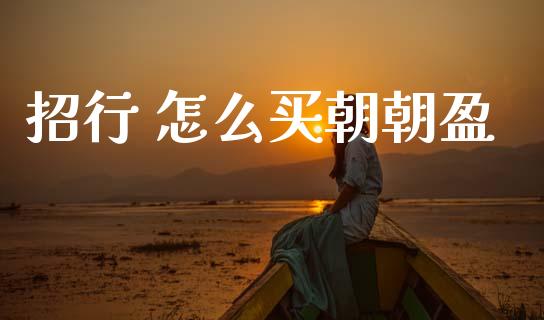 招行 怎么买朝朝盈_https://m.qdlswl.com_恒指在线直播间_第1张