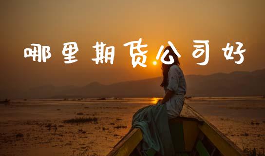 哪里期货公司好_https://m.qdlswl.com_纳指直播_第1张