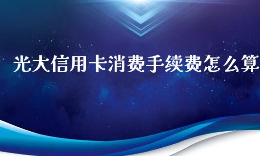 光大信用卡消费手续费怎么算_https://m.qdlswl.com_恒生指数直播喊单_第1张