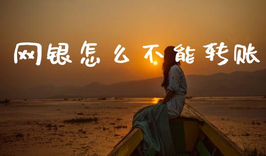网银怎么不能转账_https://m.qdlswl.com_纳指直播_第1张