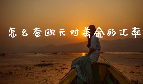 怎么查欧元对美金的汇率_https://m.qdlswl.com_恒指在线直播间_第1张