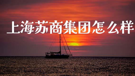 上海苏商集团怎么样_https://m.qdlswl.com_恒指在线直播间_第1张