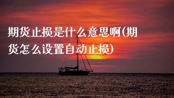 期货止损是什么意思啊(期货怎么设置自动止损)_https://m.qdlswl.com_恒指在线直播间_第1张