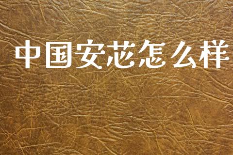 中国安芯怎么样_https://m.qdlswl.com_纳指直播_第1张