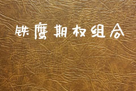 铁鹰期权组合_https://m.qdlswl.com_恒指在线直播间_第1张