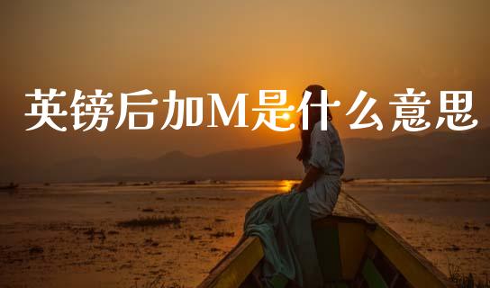 英镑后加M是什么意思_https://m.qdlswl.com_恒指德指直播室_第1张