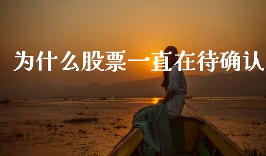为什么股票一直在待确认_https://m.qdlswl.com_恒生指数直播喊单_第1张