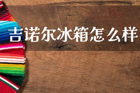 吉诺尔冰箱怎么样_https://m.qdlswl.com_恒生指数直播喊单_第1张