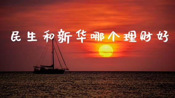 民生和新华哪个理财好_https://m.qdlswl.com_恒指德指直播室_第1张