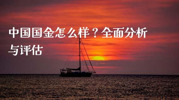 中国国金怎么样？全面分析与评估_https://m.qdlswl.com_纳指直播_第1张
