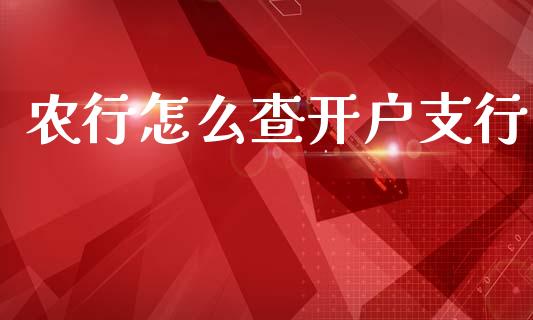 农行怎么查开户支行_https://m.qdlswl.com_恒生指数直播喊单_第1张