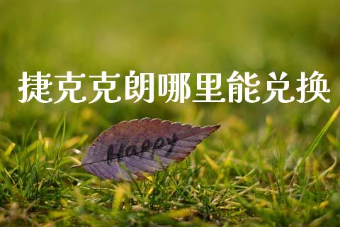 捷克克朗哪里能兑换_https://m.qdlswl.com_纳指直播_第1张