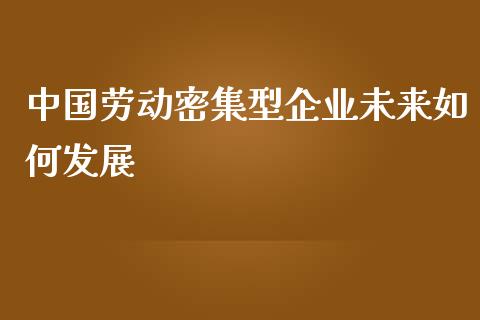 中国劳动密集型企业未来如何发展_https://m.qdlswl.com_恒指德指直播室_第1张