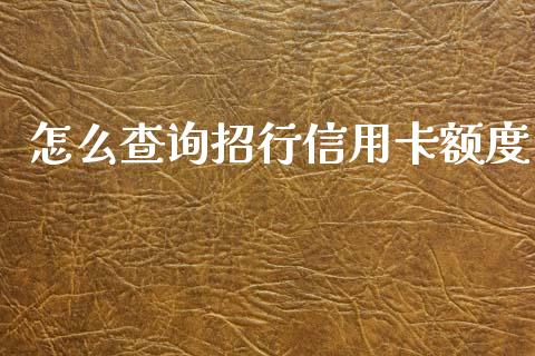 怎么查询招行信用卡额度_https://m.qdlswl.com_纳指直播_第1张