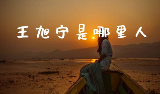 王旭宁是哪里人_https://m.qdlswl.com_恒指德指直播室_第1张