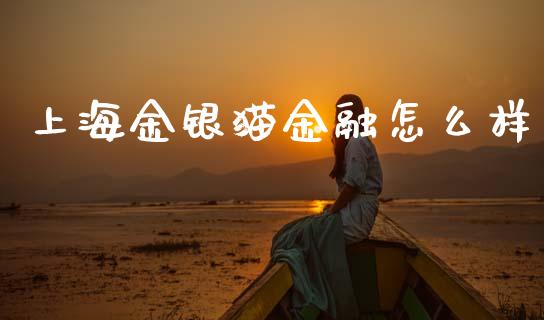 上海金银猫金融怎么样_https://m.qdlswl.com_恒指德指直播室_第1张