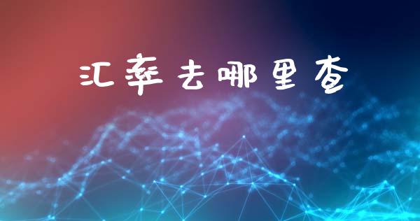 汇率去哪里查_https://m.qdlswl.com_恒指德指直播室_第1张