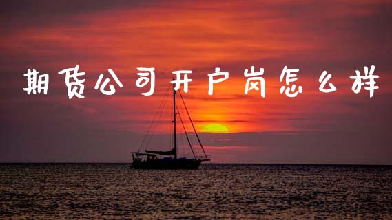 期货公司开户岗怎么样_https://m.qdlswl.com_纳指直播_第1张