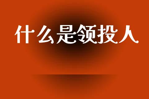 什么是领投人_https://m.qdlswl.com_恒指德指直播室_第1张