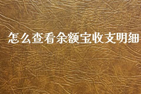 怎么查看余额宝收支明细_https://m.qdlswl.com_恒指在线直播间_第1张
