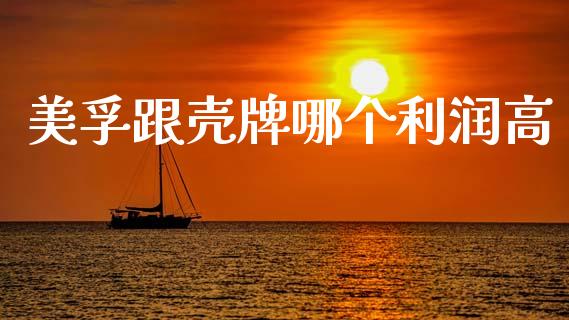 美孚跟壳牌哪个利润高_https://m.qdlswl.com_恒指德指直播室_第1张