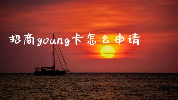 招商young卡怎么申请_https://m.qdlswl.com_恒生指数直播喊单_第1张