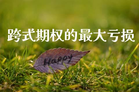 跨式期权的最大亏损_https://m.qdlswl.com_恒指德指直播室_第1张