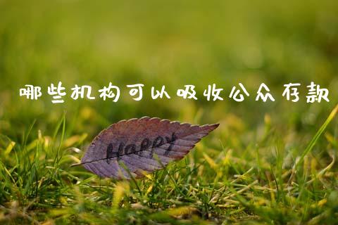 哪些机构可以吸收公众存款_https://m.qdlswl.com_纳指直播_第1张
