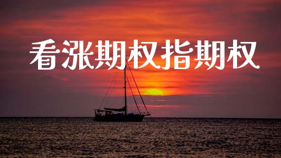 看涨期权指期权_https://m.qdlswl.com_恒指在线直播间_第1张