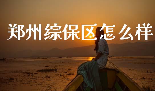 郑州综保区怎么样_https://m.qdlswl.com_恒生指数直播喊单_第1张