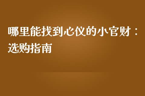 哪里能找到心仪的小官财：选购指南_https://m.qdlswl.com_恒生指数直播喊单_第1张