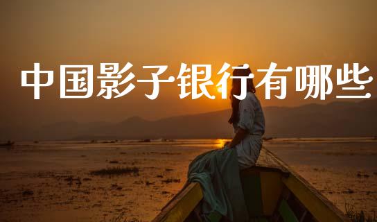 中国影子银行有哪些_https://m.qdlswl.com_纳指直播_第1张
