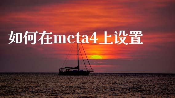 如何在meta4上设置_https://m.qdlswl.com_恒生指数直播喊单_第1张