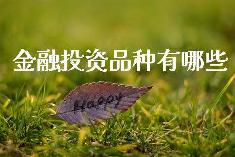金融投资品种有哪些_https://m.qdlswl.com_恒指在线直播间_第1张