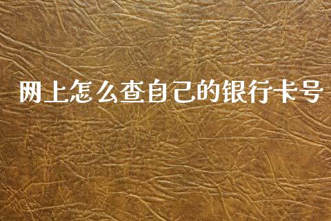 网上怎么查自己的银行卡号_https://m.qdlswl.com_恒生指数直播喊单_第1张