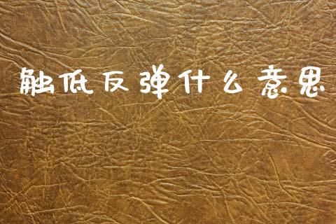 触低反弹什么意思_https://m.qdlswl.com_恒指德指直播室_第1张